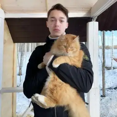 Перси